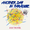 Another Day In Paradise von Jam Tronik